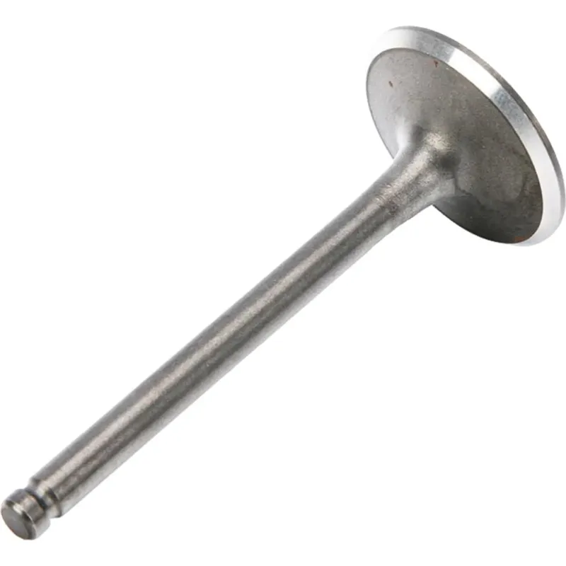 Výfukový ventil RFZ125 Must-Have